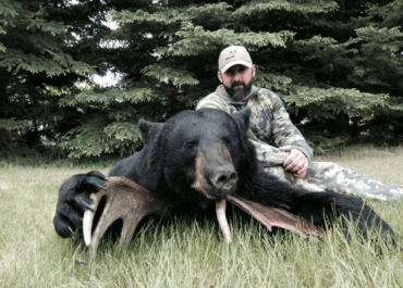 5 Best Black Bear Destinations
