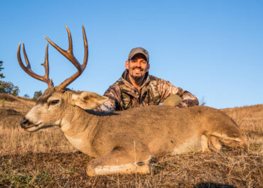 Oregon Blacktail Deer