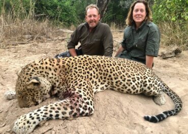 Zambia Safari, A True African Hotspot