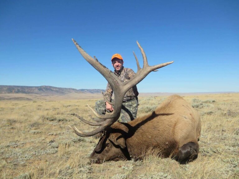 Elk Hunts for 2020 in Wyoming