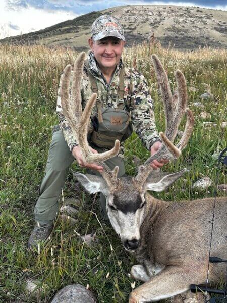 Wyoming mule deer