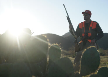 Quail Hunting in Sonora Mexico - The Journey Within, A Bird Hunter’s Diary