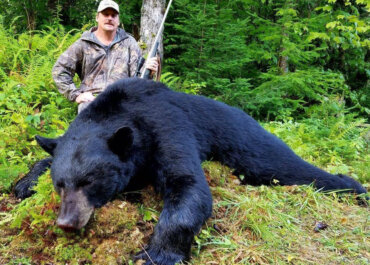 Black Bear Hunting – Spring or Fall