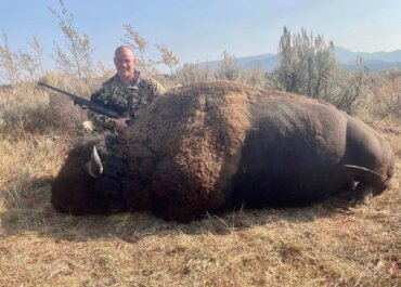 You Can’t Roller Skate in a Buffalo Herd!