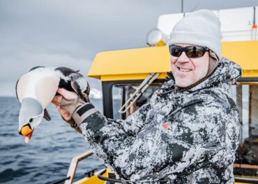 Win a King Eider Waterfowl Adventure, Plus Prize Package from AVES and Benelli