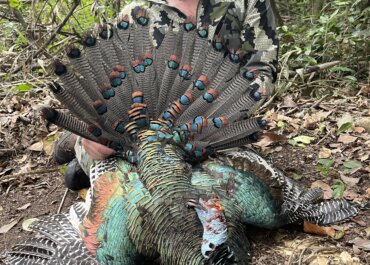 Turkey Time!