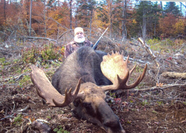 Hunting Moose in the State of Maine