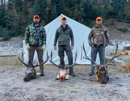 Southern Colorado Drop Camp Elk Hunt