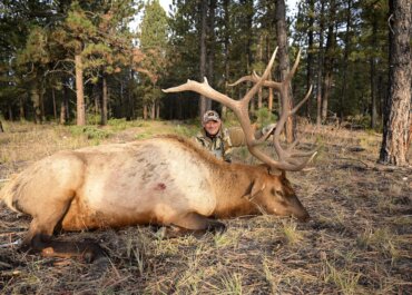 Montana’s Elk and Deer: Everything You Need to Know About the Draw