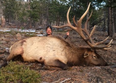 Looking to Book Your 2024 Elk Hunt?
