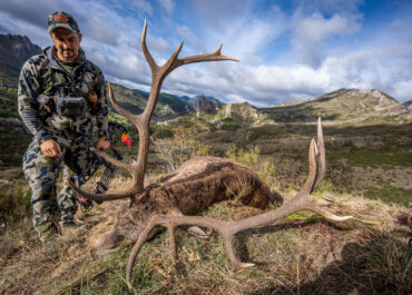 Bowhunting Red Deer During the Rut