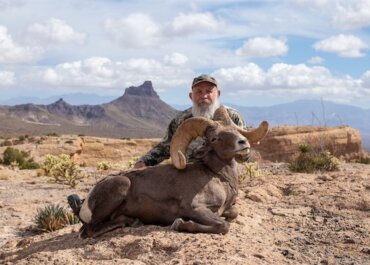 Arizona’s Deer/Sheep Deadline: That’s a Wrap on the 2024 Draw Season!