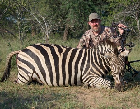 401 Matt Zebra
