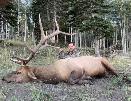 TWO BEAR BULL #1 - '22