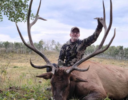 TWO BEAR BULL #10 - '22