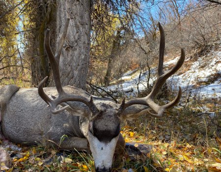 WTAR-0005-GS-BUCK-2-21-scaled