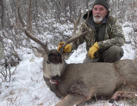 WTAR-0005-GS-BUCK-4-22