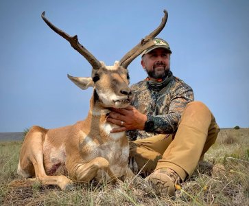 antelope (1)