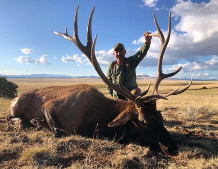 elk-hunt-wta-feb-02