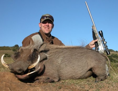 warthog
