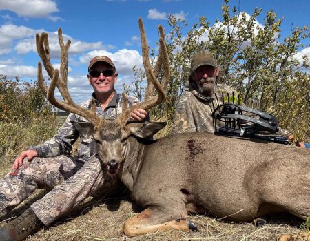wta-alberta-mule-deer-featured-v2