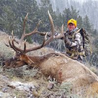 wta-tags-Mark-Kayser-Rifle-elk-2019