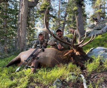 wta_1022_Archerybull