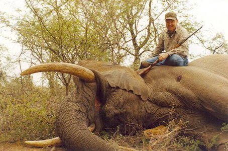 wta_1023_EWY1SD_Elephant-5