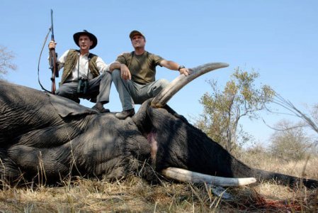 wta_1023_PB15BB_Elephant-2