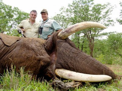 wta_1023__featured_XKDSV9_Elephant-1