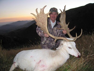 wta_1027_9YLVMX_WhiteFallowBuck