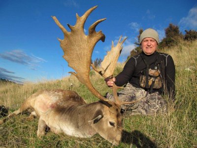 wta_1027_XTGG8U_1Fallowbuck