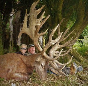 wta_1028_1UFC1P_CharliePattersonStag