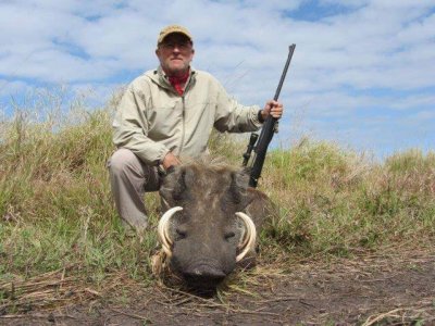 wta_1033_1B6QJ7_tommymillnerwarthog2013