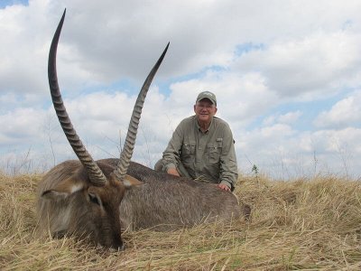 wta_1033_T8RXKF_Waterbuck