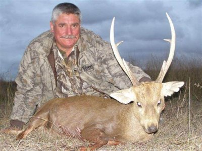 wta_1047_1K8OHC_RogerHosfeltHogDeer