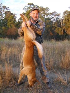 wta_1047_NUXDJS_GlenPropeswilddog