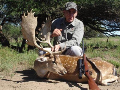 wta_1049_SYEFEL_FALLOWDEER