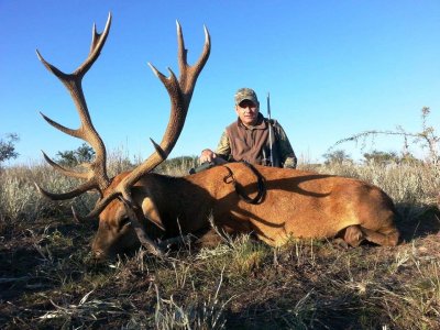 wta_1051_3MWDY3_Stag9