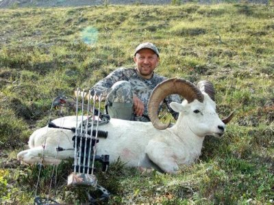 wta_1059_5X7BRV_sheep4