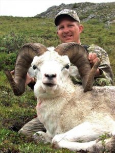 wta_1059_DA6195_sheep15