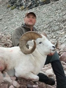 wta_1059_JNHZ0G_sheep13
