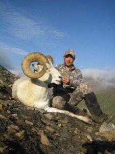 wta_1059_SKUT27_sheep2