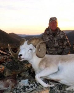 wta_1059__featured_ZSE2ZM_sheep7
