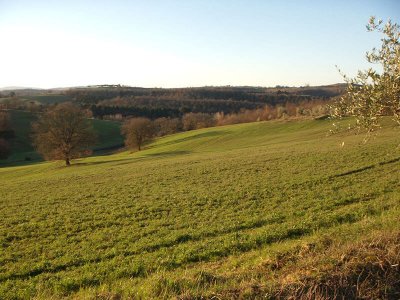 wta_1074_9B6RW4_Tuscany(3)