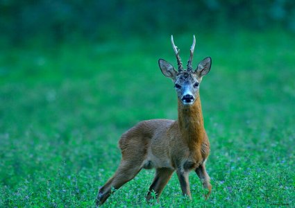 wta_1074_XN4ESP_Altaqualit-RiccardoCamusso(2)
