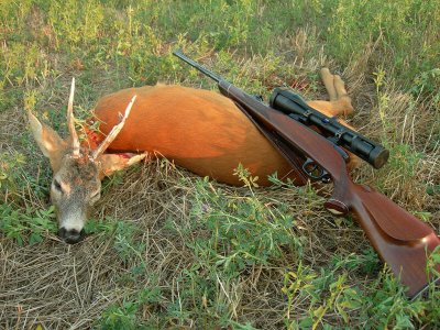 wta_1074_Y1IA5A_roedeertrophies(1)