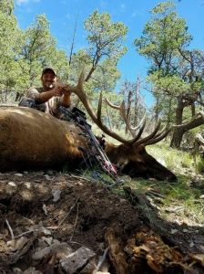 wta_1077_76ZWJA_elk2