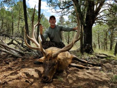 wta_1077_IWK496_elk5