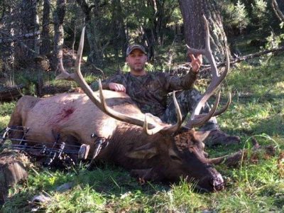 wta_1078_E6MGT7_elk4